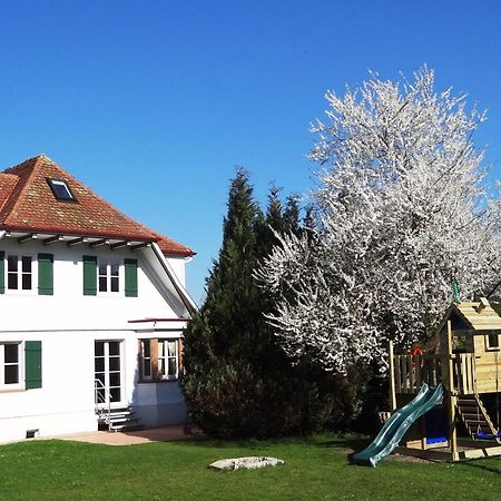 Schwarzwaldhaus24 - Ferienhaus Mit Sauna, Whirlpool Und Kamin Aichhalden Екстер'єр фото